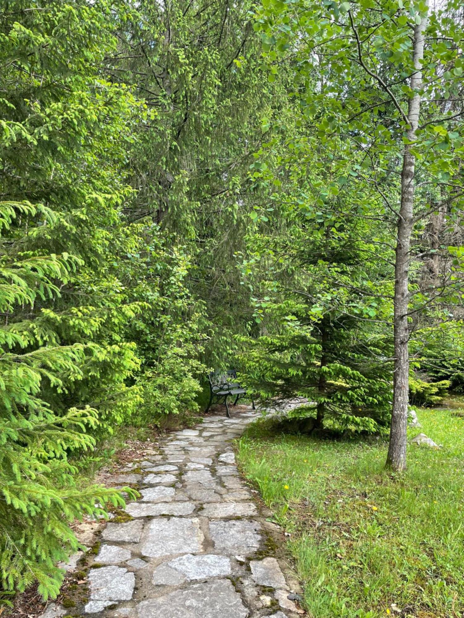 Relaxation In Guta Гута Покращене Шале Экстерьер фото